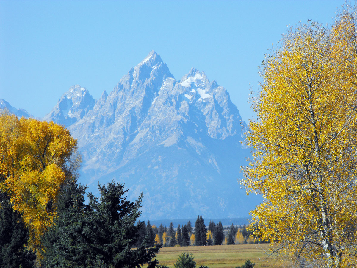 Golden Season at the Tetons