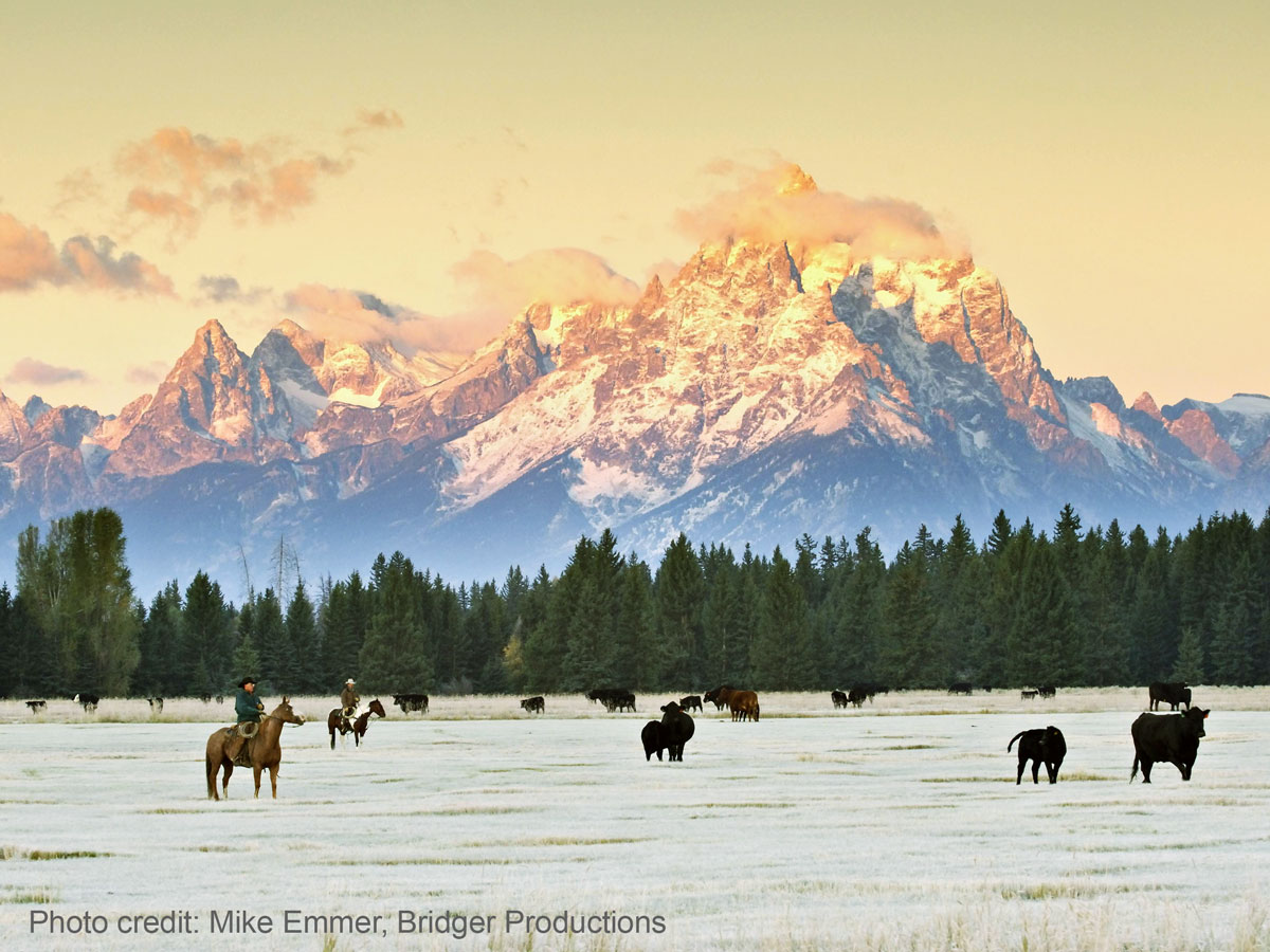 Teton Cowboys Sunrise by Mike Emmer